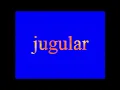 Kai Kwasi - jugular (Visualiser)