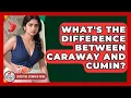 What s The Difference Between Caraway And Cumin - Sensitive Stomach Guide