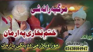 Poshto New Nazam2024 Ali Rahman Hanfi Khatme Bukhari Arman ختم بخاری چادرپوشی ارمان علی رحمان حنفی 