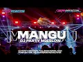 Download Lagu DJ MANGU DJ PARTY NGESLOW \u0026 SELOKAMBANG REVOLUTION