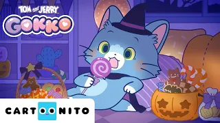 Tom e Jerry Gokko | Caos de Abóboras na Noite das Bruxas 🎃 | Maratona de Halloween | Cartoonito