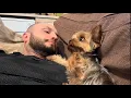 You Won t Believe How Cute This Yorkie Is - Watch Till The End