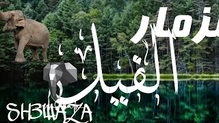   مزمار الفيل         هيكسر الديجهات   دندنها