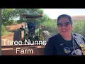 Picking at Three Nunns Farm Brentwood