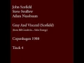Scofield, Swallow & Nussbaum: Grey and Visceral (1980)
