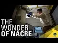 Lagu Real-time, nanoscale view of what makes nacre so tough