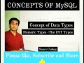 MySQL Concept of Numeric Data Types - The INT Type
