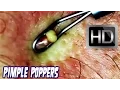 Download Lagu YouTube's plukken de puistmarkt! Popping Popaholic Pleasure