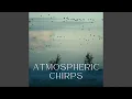 Bone-Chilling Tune