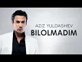 Download Lagu Aziz Yuldashev - Bilolmadim (Audio Version)