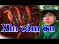 Download Lagu Xin chân thành cảm ơn cả nhà lần này Chanh lại trúng Lươn nữa