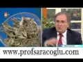 Prof Dr Ibrahim SARACOGLU Catch Up With Life with Zahide Remedy for Gastritis and Ulcers