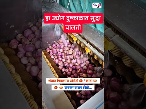 पती-पत्नीने सुरू केला हा भन्नाट उद्योग 😍 | भाजीपाला प्रक्रिया उद्योग | शोध वार्ता | Shodh Varta |
