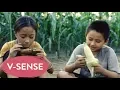 Download Lagu Best Family Movie | Mother 2 | English \u0026 Spanish Subtitles