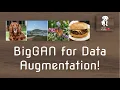 BigGANs in Data Augmentation