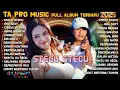 Download Lagu STECU STECU - FARIS ADAM - NABILA CAHYA Ft CECE  AYU -  TA PRO MUSIC FULL ALBUM TERBARU 2025