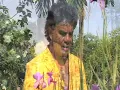 Download Lagu ALS DE ORCHIDEEN BLOEIEN