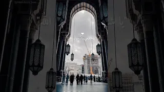 يرتوي بالحب قلبي 