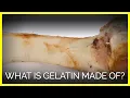 What Is Gelatin Made Of