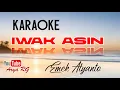 Download Lagu IWAK ASIN - Karaoke || Emek Aryanto [ Arya RG ]