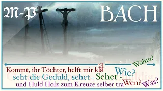 Download Animated Bach - Kommt, ihr Töchter, helft mir klagen (St. Matthew Passion) MP3
