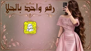رقم واحد بالحلا ما نوجد زيه اقبلت مثل الفرس بالمياديني - موضي الصواغ - اداء سعد محسن 2026 حصرياً