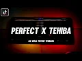 Download Lagu DJ OLD PERFECT X TEHIBA SLOW 🎶 ZHARIF PROJECT FT NABIH FVNKY FT RENDY RAVER