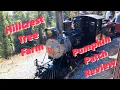 Hillcrest Pumpkin Patch Review 2020