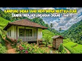 Download Lagu VIRAL LAGI DI TASIKMALAYA MUSTIKA ULAR MENJADI INCARAN DI KAMPUNG INDAH INI