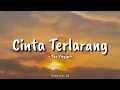 Cinta Terlarang - The Virgin || Cover By MusicLirik_id (Lirik Lagu) 🎶🎶