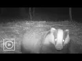 Download Lagu Das schrikt van camera | #WILDCAM