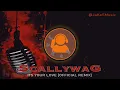 Download Lagu SCALLYWAG – Its Your Love [Official JaKeS Remix]