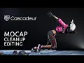 Cascadeur - AI Tool for Mocap Cleanup and Animation Editing