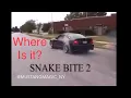 Snakebite Terminator Cobra Story