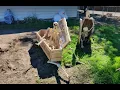 DIY Full Size Coffin Halloween Decoration Made With Pallet Wood