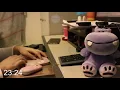Study&WorkWithMe #060 (Music) Hours Pomodoro Session (25Min) | Study With Me