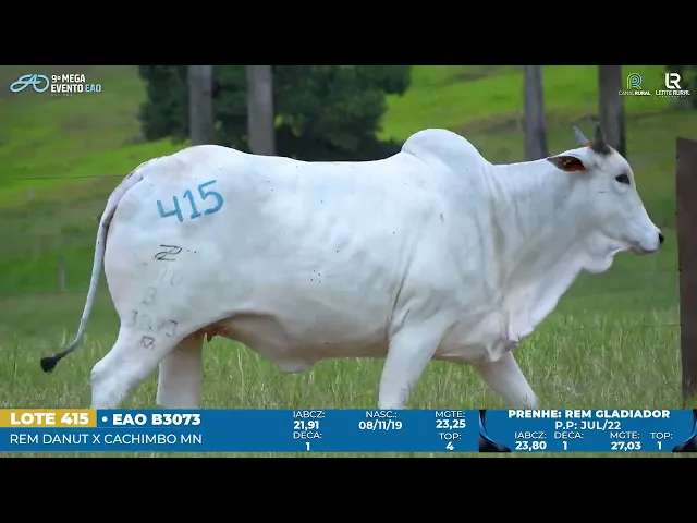Matriz Nelore EAO-B3073