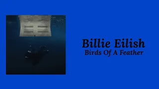Billie Eilish Birds Of A Feather Lyrics  Billie Eilish Birds Of A Feather Lyrics