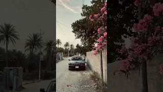 وردة سقيتها من دمع العيون اغاني فراتية 