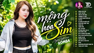 MỘNG HOA SIM, THƯƠNG LY BIỆT - ALBUM RUMBA XUẤT SẮC NHẤT 2026 - OANH TẠ COVER CỰC HÓT