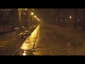 Quiet Night in the Park with Relaxing Sounds of Rain Falling Down the Empty Alleys, Puddles & Leaves