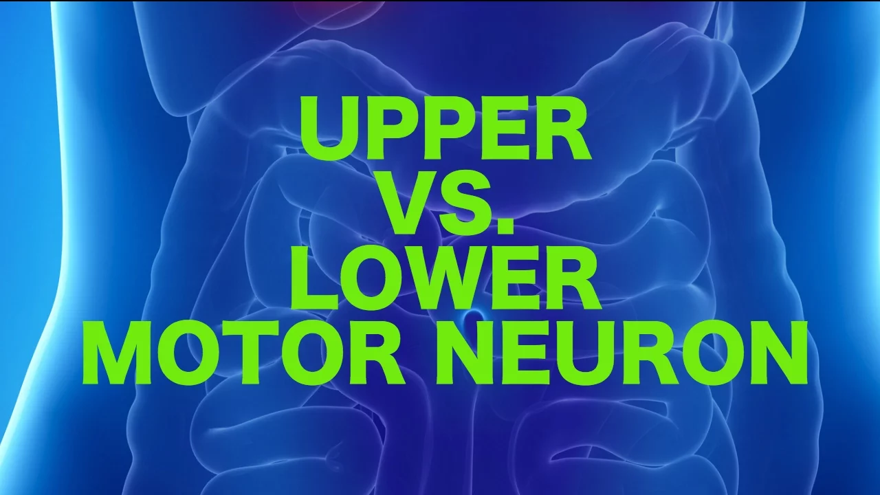 Upper vs Lower Motor Neuron Lesions: USMLE Neurology Review