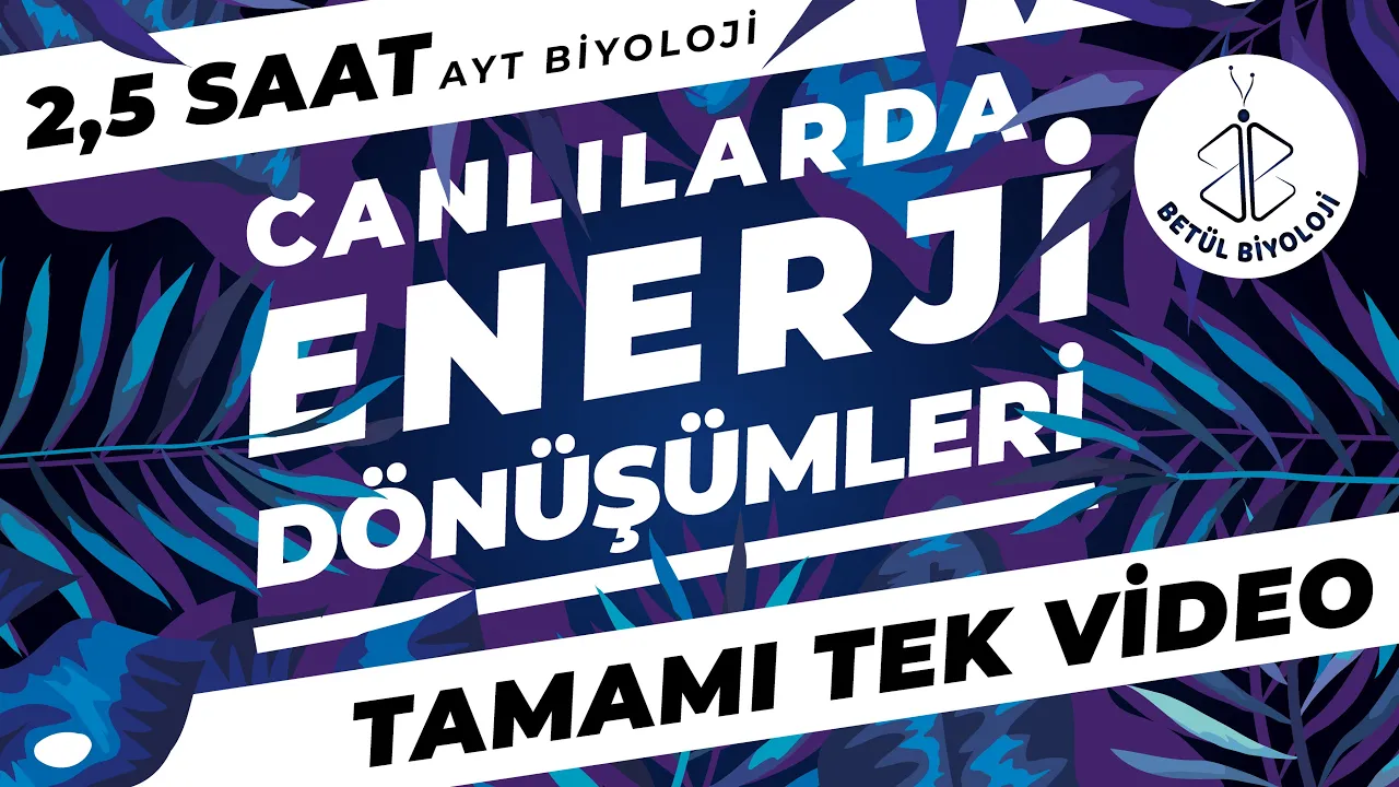 Canlılarda Enerji Dönüşümleri Tekrar | TAMAMI TEK VİDEO | AYT Biyoloji Konu Anlatımı