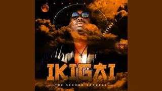 tman xpress u0026 kabza de small indlela official audio