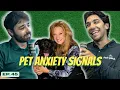 How To Spot Fear And Stress In Dogs And Cats