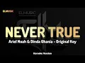 Ariel Noah & Dinda Ghania - Never True (Karaoke Version)