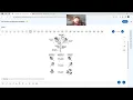 APbio APCollegeBoard MCQuestion unit 5 zoom tutorial