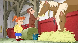 Aventura na fazenda de George e Allie 🐵 George, o Curioso 🐵 Desenhos Animados