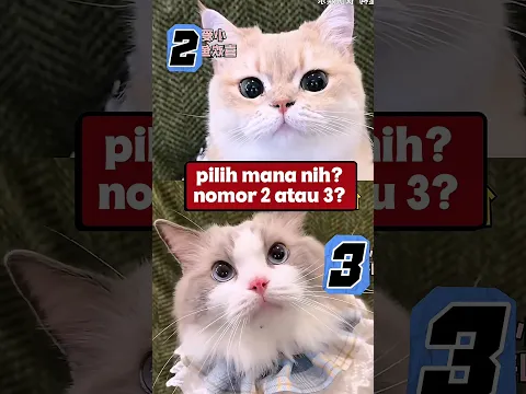 milih calon istri buat oyen