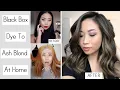 HIGHLIGHTS AT HOME BLACK BOX DYE TO ASH BLOND